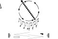 Signal and Noise
