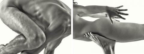 ANGA-limb 