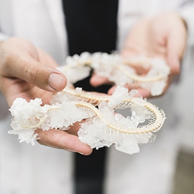 Crystallized snake skeleton by artist Tyler Thrasher. 