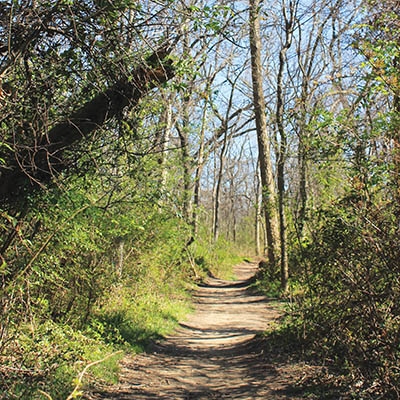 Turkey Mountain // Photo by Morgan Welch