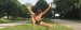 Urban movement
