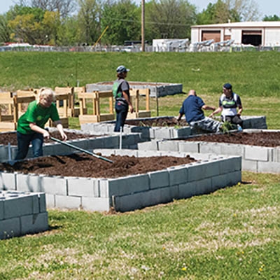 Blooming Acres clients plant onions