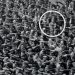 Standing with tyrants