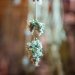 Personal growth