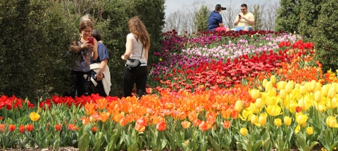 Tulsa Botanical Garden